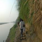 Vraj-Yatra-2014- (1672)